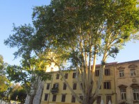 /album/fotogaleria-zadar/obrazok-553-jpg/